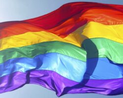 ATUALIDADES E PERSPECTIVAS DOS DIREITOS DA DIVERSIDADE SEXUAL E DE GÊNERO