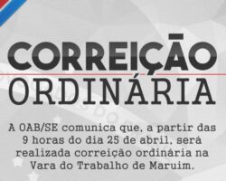 OAB/SE presente à Correição Ordinária do TRT20