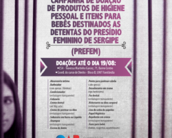 Comissão de Defesa dos Direitos da Mulher da OAB/SE busca envolvimento social com as questões do sistema carcerário sergipano