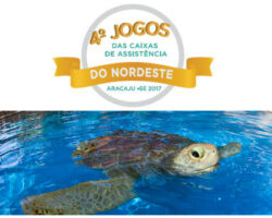 CAASE e Projeto Tamar firmam parceria para o 4º Jogos das Caixas de Assistência do Nordeste