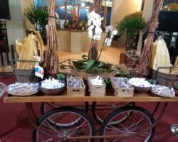 CAASE divulga cultura sergipana em Conferencia Nacional