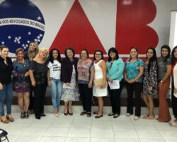 Comissão dos Direitos da Mulher coloca em debate a presença feminina nos espaços de poder e decisão