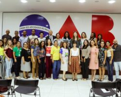 Em defesa das crianças e adolescentes: OAB/SE é reeleita integrante da coordenação do Fepeti-SE