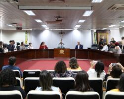 OAB/SE participa de debate sobre ações e projetos voltados ao combate à violência de gênero