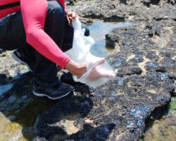 OAB/SE realiza e participa de audiências públicas e de missão para discutir o impacto socioambiental causado pelo vazamento de petróleo