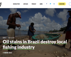 Site The Brazilian Report destaca atuação da OAB Sergipe no caso do vazamento de petróleo no litoral brasileiro