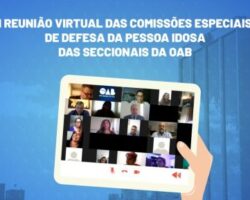OAB/SE participa de reunião histórica entre Comissões Especiais de Defesa da Pessoa Idosa