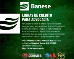 Saiba como ter acesso às linhas de créditos disponibilizadas à advocacia pelo Banese