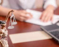 Artigo: O que pode o advogado?