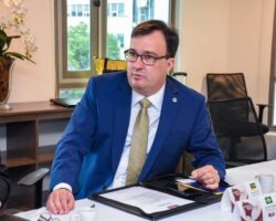 Artigo: Resiliência