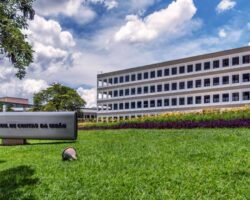 Confira o guia prático da Plataforma de Serviços Digitais Conecta-TCU: acesso a autos processuais