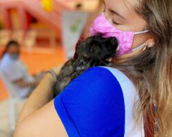 Semana Mundial dos Animais é encerrada na OAB/SE com campanha de adoção de cães e gatos