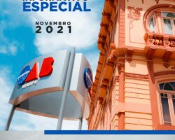 Boletim com atividades realizadas pela Seccional no mês de novembro é lançado