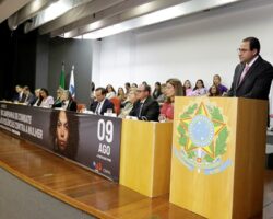 STJ acata pedido do CFOAB para manter súmulas contra violência doméstica