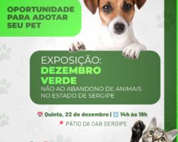 OAB Sergipe lança campanha ‘Não ao abandono de animais no estado de Sergipe’, nesta quinta-feira, 22 de dezembro