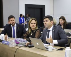Pleno aprova ajuizamento de ADPF contra Decreto que estabelece “mínimo existencial”