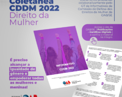 Comissão de Defesa dos Direitos da Mulher da OAB/SE lança documento sobre direitos das mulheres