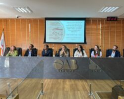 Erradicação do trabalho infantil é discutida em audiência pública na OAB/SE