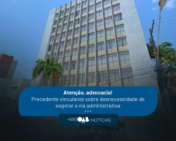 Precedente vinculante sobre desnecessidade de esgotar a via administrativa