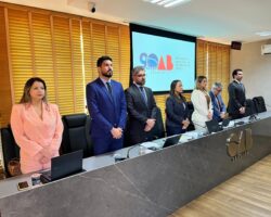 Conselho Seccional da OAB/SE defere providências para responsabilizar autoridade policial