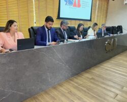 Conselho Seccional aprova honraria Maria Feliciana para homenagear atuação anticapacitista