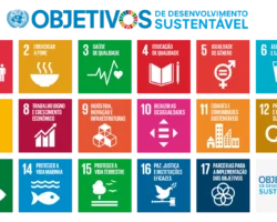 Na luta por dignidade, cada conquista importa: OAB Sergipe é reconhecida com o Selo ODS 2025 por atuação em defesa das pessoas com deficiência